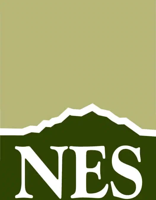 NES Inc. logo