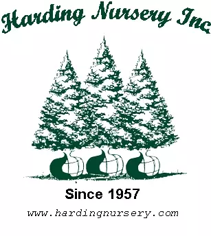Harding Nursery Logo